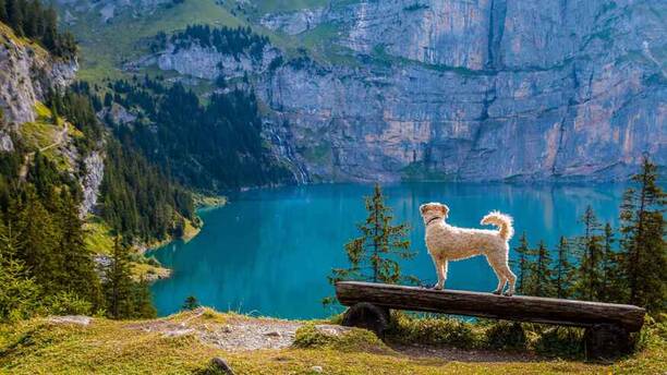寧波鳳凰山旅游攻略：玩轉(zhuǎn)鳳凰山，暢享美景